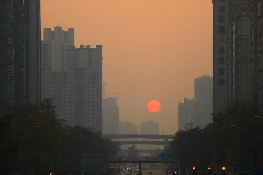 重磅！今后我省這些專業擬在一本招生